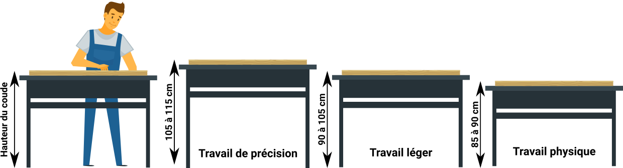 graphique-hauteur-etabli-1240x335